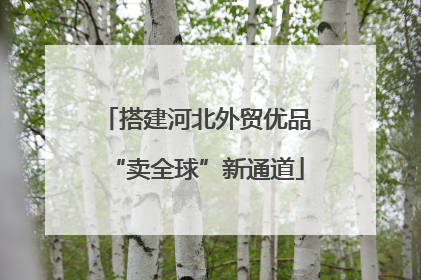 搭建河北外贸优品“卖全球”新通道