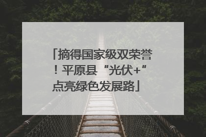 摘得国家级双荣誉！平原县“光伏+”点亮绿色发展路