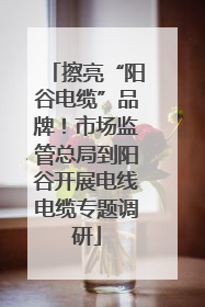 擦亮“阳谷电缆”品牌！市场监管总局到阳谷开展电线电缆专题调研