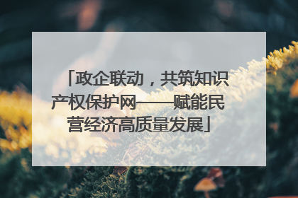 政企联动，共筑知识产权保护网——赋能民营经济高质量发展