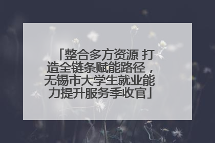 整合多方资源 打造全链条赋能路径，无锡市大学生就业能力提升服务季收官