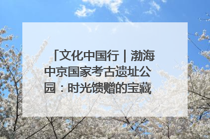 文化中国行｜渤海中京国家考古遗址公园：时光馈赠的宝藏 历史凝固的诗篇