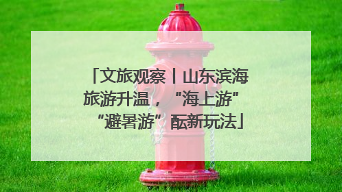文旅观察丨山东滨海旅游升温，“海上游”“避暑游”酝新玩法