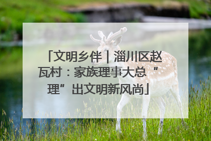 文明乡伴｜淄川区赵瓦村：家族理事大总“理”出文明新风尚