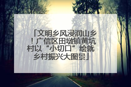 文明乡风浸润山乡！广信区田墩镇黄坑村以“小切口”绘就乡村振兴大图景