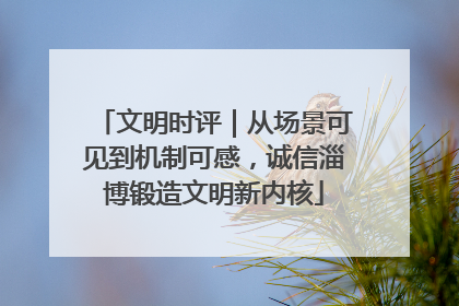 文明时评｜从场景可见到机制可感，诚信淄博锻造文明新内核