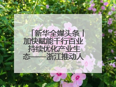 新华全媒头条丨加快赋能千行百业 持续优化产业生态——浙江推动人工智能健康有序发展观察