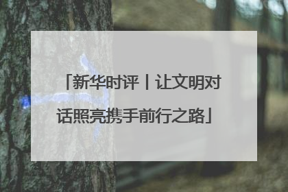 新华时评丨让文明对话照亮携手前行之路
