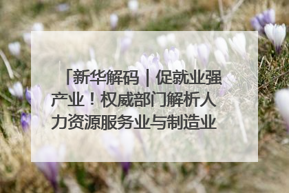 新华解码｜促就业强产业！权威部门解析人力资源服务业与制造业融合发展试点