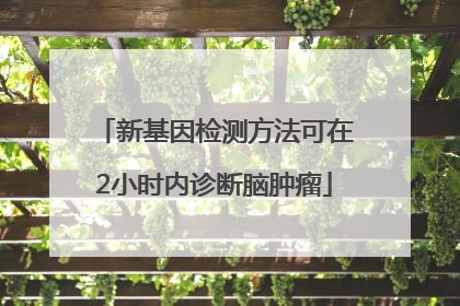 新基因检测方法可在2小时内诊断脑肿瘤