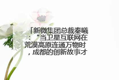 新微集团总裁秦曦：“当卫星互联网在荒漠高原连通万物时，成都的创新故事才真正开始”