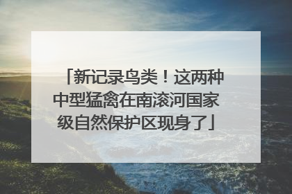 新记录鸟类！这两种中型猛禽在南滚河国家级自然保护区现身了