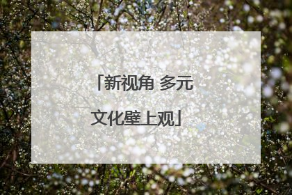 新视角 多元文化壁上观