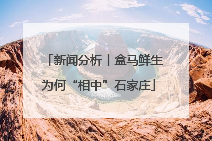 新闻分析丨盒马鲜生为何“相中”石家庄