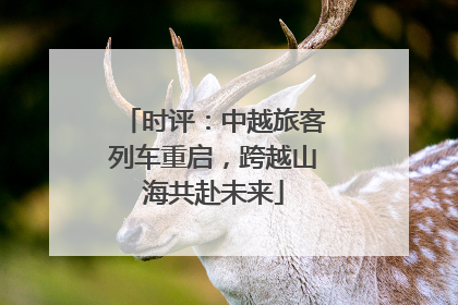 时评：中越旅客列车重启，跨越山海共赴未来