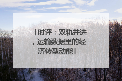 时评：双轨并进，运输数据里的经济转型动能