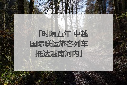 时隔五年 中越国际联运旅客列车抵达越南河内