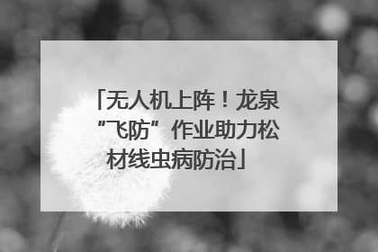 无人机上阵！龙泉“飞防”作业助力松材线虫病防治