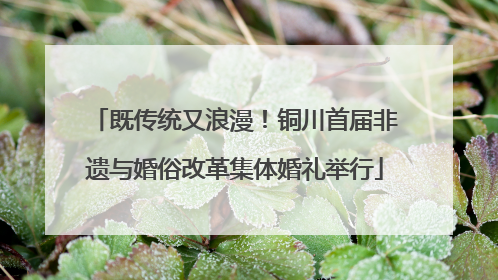 既传统又浪漫！铜川首届非遗与婚俗改革集体婚礼举行
