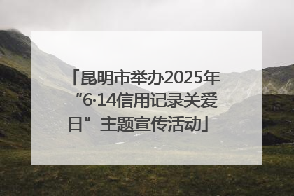 昆明市举办2025年“6·14信用记录关爱日”主题宣传活动