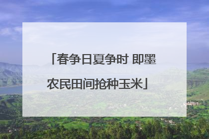 春争日夏争时 即墨农民田间抢种玉米