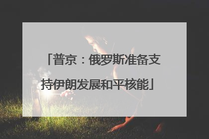 普京：俄罗斯准备支持伊朗发展和平核能