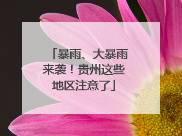 暴雨、大暴雨来袭！贵州这些地区注意了