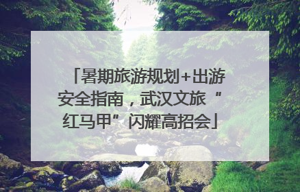 暑期旅游规划+出游安全指南，武汉文旅“红马甲”闪耀高招会
