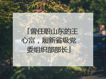 曾任职山东的王心富，履新省级党委组织部部长