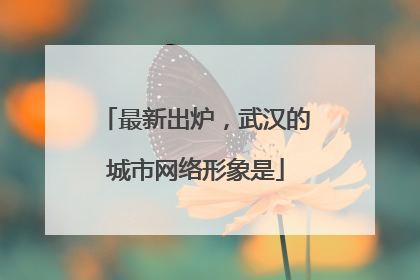 最新出炉，武汉的城市网络形象是