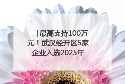 最高支持100万元！武汉经开区5家企业入选2025年度武汉市重点研发计划拟立项项目名单
