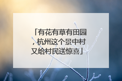 有花有草有田园，杭州这个景中村又给村民送惊喜