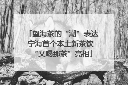 望海茶的“潮”表达 宁海首个本土新茶饮“又喝那茶”亮相