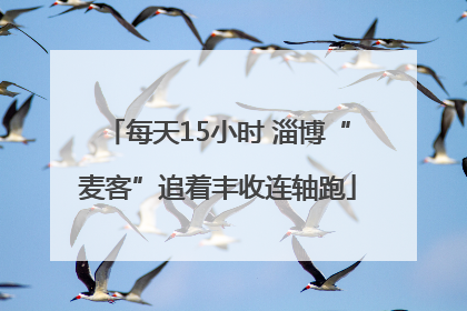 每天15小时 淄博“麦客”追着丰收连轴跑