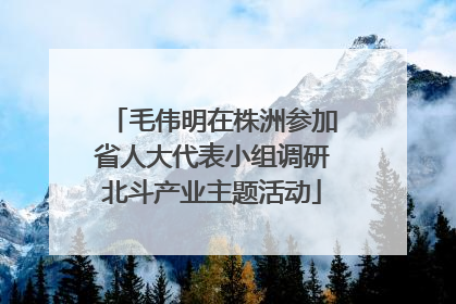 毛伟明在株洲参加省人大代表小组调研北斗产业主题活动