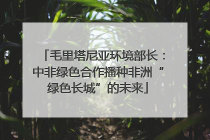 毛里塔尼亚环境部长：中非绿色合作播种非洲“绿色长城”的未来