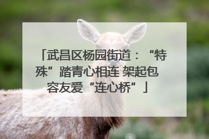 武昌区杨园街道：“特殊”踏青心相连 架起包容友爱“连心桥”