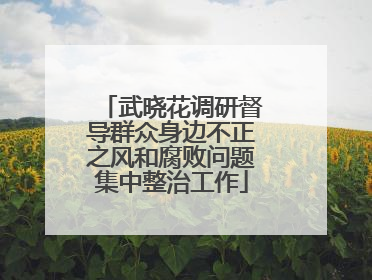 武晓花调研督导群众身边不正之风和腐败问题集中整治工作