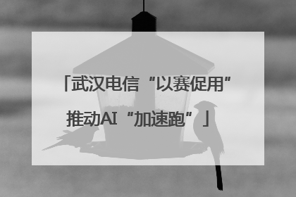 武汉电信“以赛促用”推动AI“加速跑”