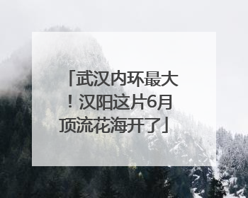 武汉内环最大！汉阳这片6月顶流花海开了