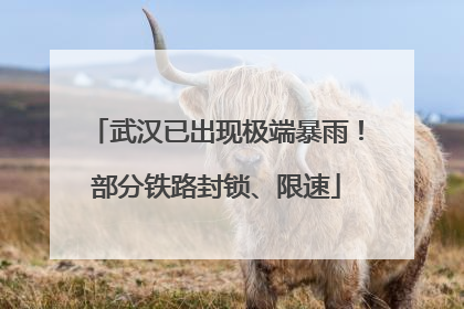 武汉已出现极端暴雨！部分铁路封锁、限速