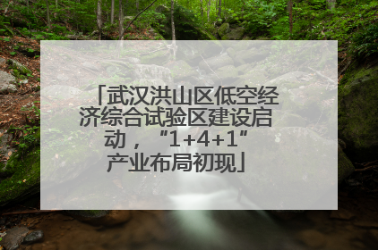 武汉洪山区低空经济综合试验区建设启动，“1+4+1”产业布局初现