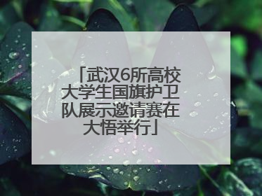 武汉6所高校大学生国旗护卫队展示邀请赛在大悟举行