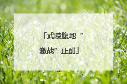 武陵腹地“激战”正酣