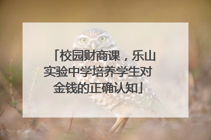 校园财商课，乐山实验中学培养学生对金钱的正确认知