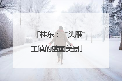 桂东：“头雁”王镇的蓝图美景