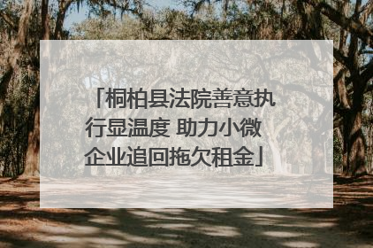 桐柏县法院善意执行显温度 助力小微企业追回拖欠租金