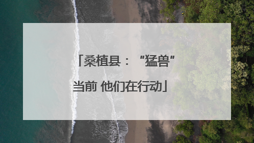 桑植县：“猛兽”当前 他们在行动