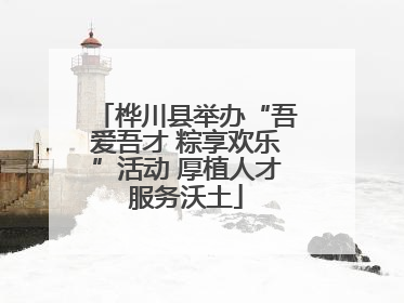 桦川县举办“吾爱吾才 粽享欢乐”活动 厚植人才服务沃土