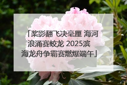桨影翻飞决毫厘 海河浪涌赛蛟龙 2025滨海龙舟争霸赛燃爆端午